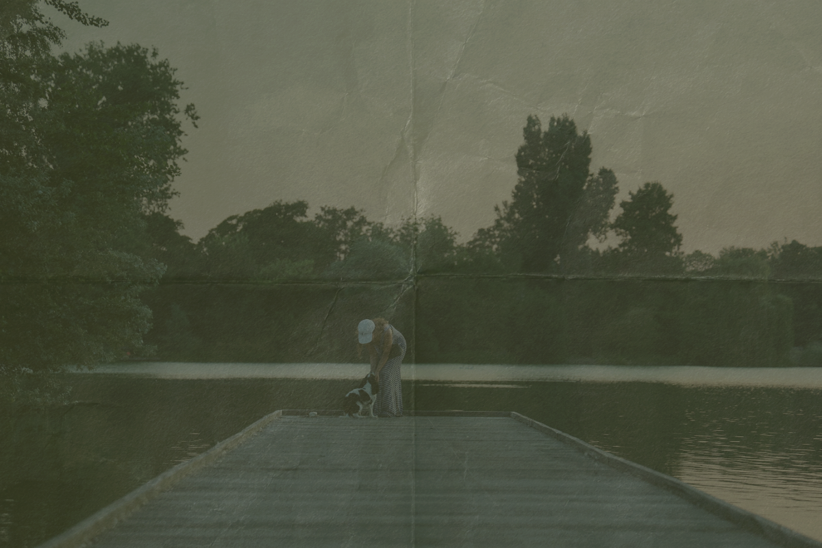 Memblee homepage hero achtergrond